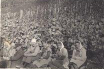 Slider Item 2 (copy) (copy)